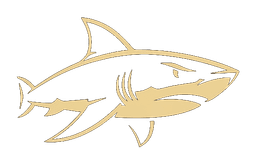 SHARK DETAILING